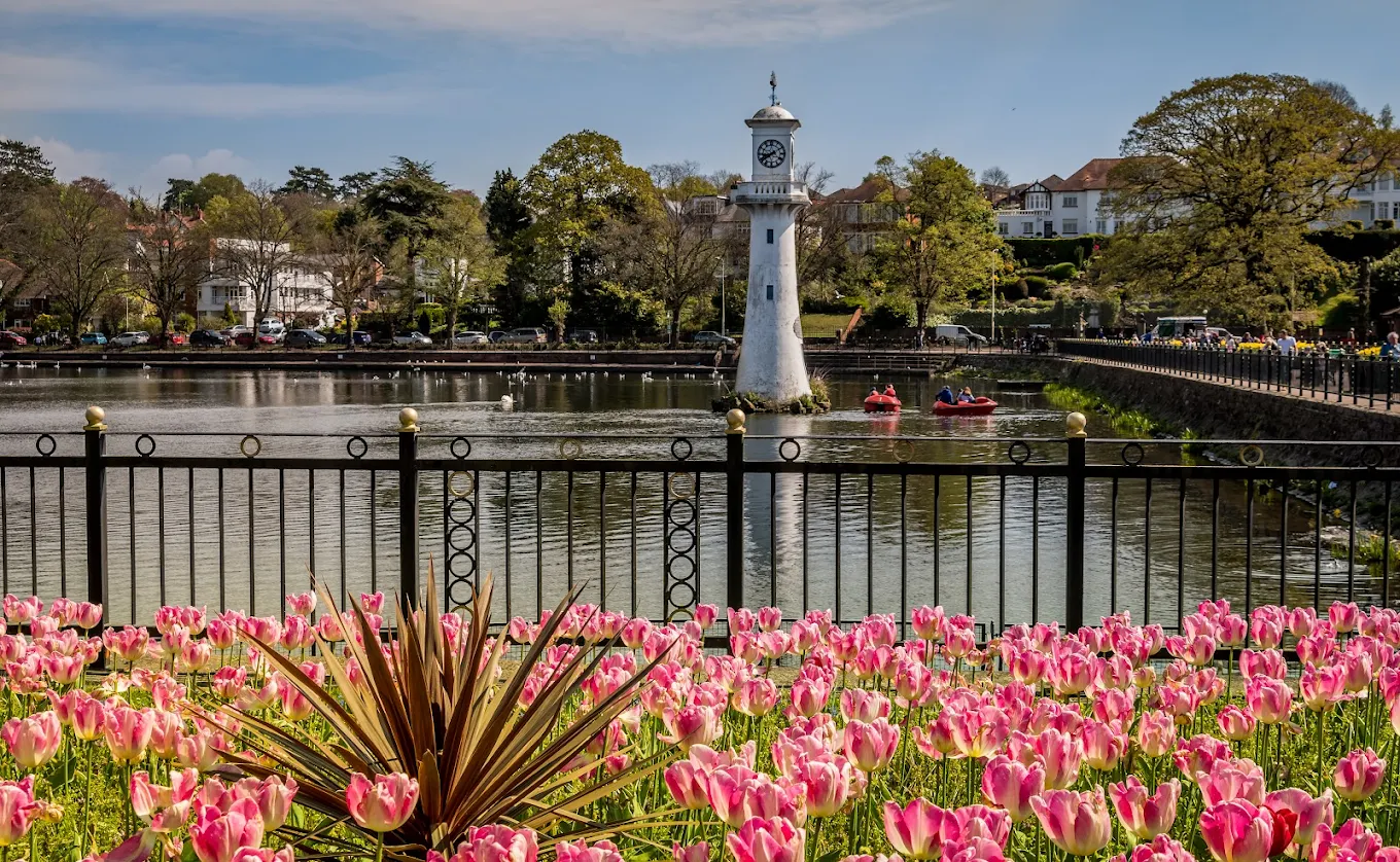 Garden Lighting Installation